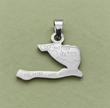 Pendentif carte Haïti – Argenté sur fond vert sauge