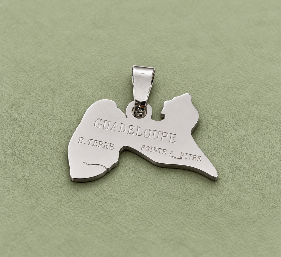 Pendentif carte Guadeloupe – Argenté sur fond vert sauge