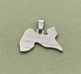 Pendentif carte Guadeloupe – Argenté sur fond vert sauge